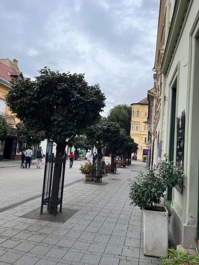غيور Wiener Garden المظهر الخارجي الصورة