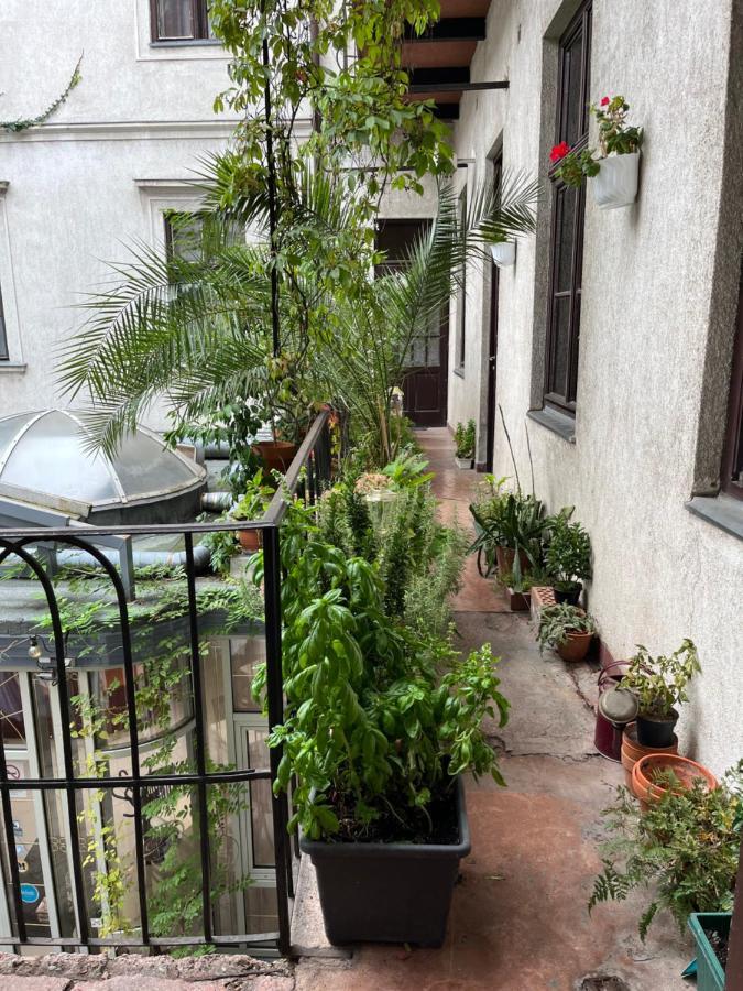 غيور Wiener Garden المظهر الخارجي الصورة
